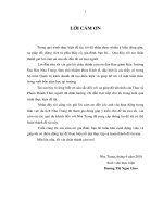 Đo lường sự thỏa mãn của du khách nội địa đối với các dịch vụ du lịch tại nha trang