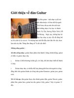 Giới thiệu về đàn Guitar pdf