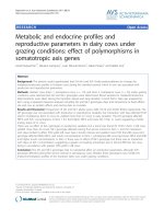 Báo cáo khoa học: 