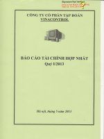 công ty cổ phần tập đoàn vinacontrol báo cáo tài chính hợp nhất quý 1 năm 2013