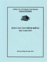 công ty cổ phần tập đoàn vinacontrol báo cáo tài chính quý 4 năm 2013