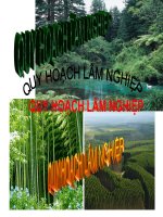 Bài giảng quy hoạch lâm nghiệp pps