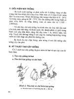 Kỹ thuật trồng một số cây lâm nghiệp, cây đặc sản rừng part 6 pps