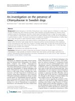 Báo cáo khoa học: 