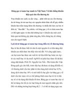 Băng gạc có nano bạc made in Việt Nam potx