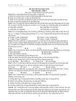 ĐỀ THI THỬ ĐẠI HỌC SỐ 01 Môn: Hoá Học docx