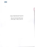 công ty cổ phần tập đoàn vinacontrol báo cáo tài chính hợp nhất cho năm kết thúc ngày 31 tháng 12 năm 2013