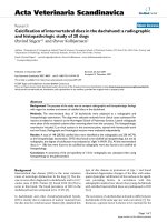 Báo cáo khoa học: 