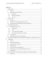 Báo cáo công nghệ và sản phẩm thanh long chế biến