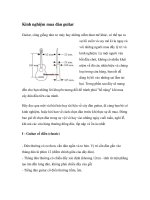 Kinh nghiệm mua đàn guitar ppsx