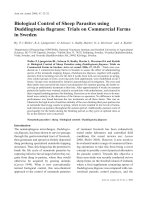 Báo cáo khoa học: 