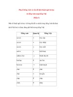 Phụ tố tiếng Anh và vấn đề dịch thuật ngữ tin học từ tiếng Anh sang tiếng Việt (Phần 3) docx