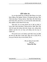 Đồ án Tốt nghiệp: Nghiên cứu, thực nghiệm bộ đèn Natri cao áp dùng trong chiếu sáng đường