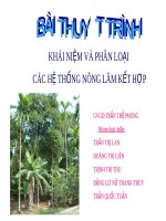 Tiểu luận khái niệm nông lâm tổng hợp