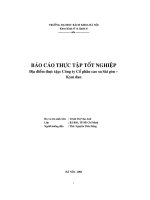 Phân tích hoạt động kinh doanh của công ty cổ phần cao su sài gòn – kym dan