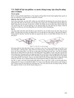 CHIẾN LƯỢC HƯỚNG TỚI PHÁT TRIỂN BỀN VỮNG CỦA CÁC NƯỚC ĐANG PHÁT TRIỂN - 5 potx