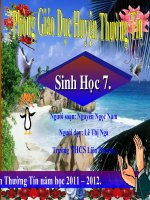 giáo án sinh học lớp 7 tham khảo một số giun tròn khác và đặc điểm chung của ngành giun tròn (1)