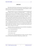 đồ án thiết kế ác quy nạp tự động