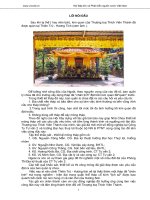 GIẢI PHÁP MÓNG VÀ ĐÁNH GIÁ ỔN ĐỊNH THÁP ĐÁ CHÂN – TỊNH THIÊN TRÙ – CHÙA HƯƠNG BẰNG PHẦN MỀM SIGMA/W V.5 pptx