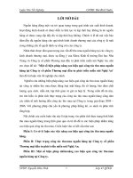 Một số biện pháp nâng cao hiệu quả công tác thu mua nguồn hàng tại công ty cổ phần thương mại đầu tư phát triển miền núi nghệ an