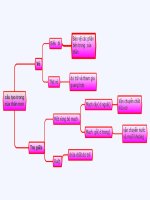 Bài giảng điện tử môn sinh học: Cấu tạo trong của thân non_1 pdf