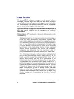 Happy About Global Software Test Automation Book Excerpt A Discussion of Software Testing for Executives phần 2 ppt