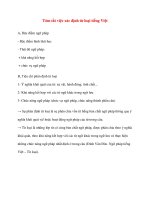 Tóm tắt việc xác định từ loại tiếng ViệtA, Đặc điểm ngữ pháp - Đặc potx