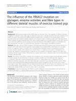 Báo cáo khoa học: 