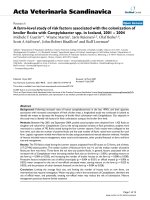 Báo cáo khoa học: 