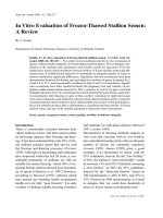 Báo cáo khoa học: 