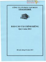 công ty cổ phần tập đoàn vinacontrol báo cáo tài chính riêng  quý 4 năm 2012