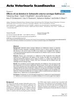 Báo cáo khoa học: 