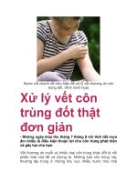 Xử lý vết côn trùng đốt thật đơn giản docx