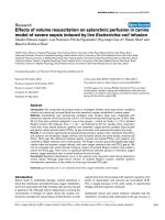 Báo cáo khoa học: 