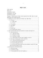 Công tác kế toán doanh thu tiêu thụ và xác định kết quả kinh doanh của doanh nghiệp tại công ty cổ phần việt thắng