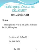 Thực trạng chăn nuôi lợn thịt của nông hộ ở xã tam an, huyện phú ninh, tỉnh quảng nam