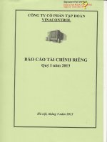 công ty cổ phần tập đoàn vinacontrol  báo cáo tài chính riêng quý 1 năm 2013
