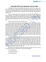 CẢM NIỆM TRIẾT HỌC TRONG BÀI THƠ VỘI VÀNG docx