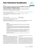 Báo cáo khoa học: 