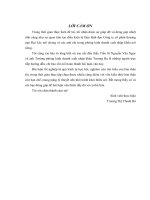 Một số giải pháp đẩy mạnh xuất khẩu hàng may mặc của công ty cổ phần thương mại đại lộc sang thị trường mỹ