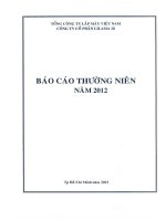 tổng công ty lắp máy việt nam công ty cổ phần lilama 18 báo cáo thường niên 2012