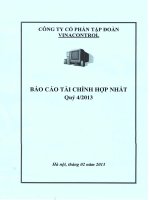 công ty cổ phần tập đoàn vinacontrol báo cáo tài chính hợp nhất quý 4 năm 2013