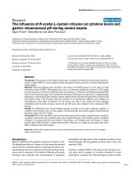 Báo cáo khoa học: 