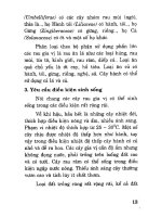 Bác sĩ cây trồng - Rau gia vị part 2 docx