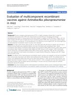 Báo cáo khoa học: 