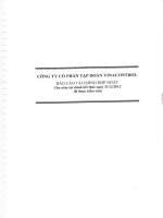 công ty cổ phần tập đoàn vinacontrol  báo cáo tài chính hợp nhất cho năm tài chính kết thúc ngày 31 tháng 12 năm 2012 đã được kiểm toán