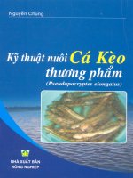 Kỹ thuật nuôi cá kèo thương phẩm