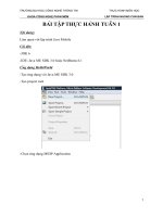 Thực hành lập trình nhúng căn bản Buổi 1 doc