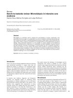 Báo cáo khoa học: 