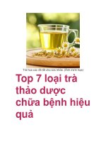 Top 7 loại trà thảo dược chữa bệnh hiệu quả pdf